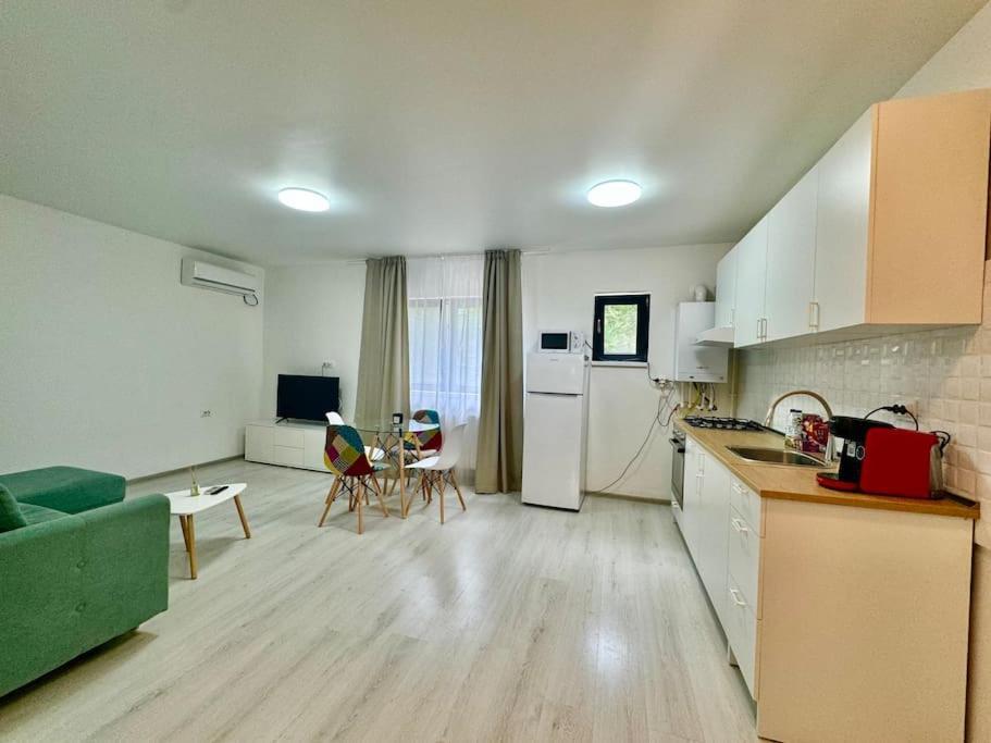Otopeni Studio C1 1 Airport Therme Екстер'єр фото